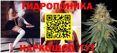 спайс Будённовск