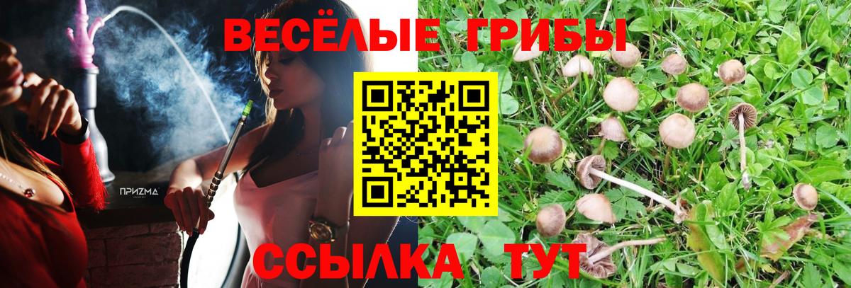 Озёры  Галлюциногенные грибы Psilocybine cubensis  Вход с VPN 