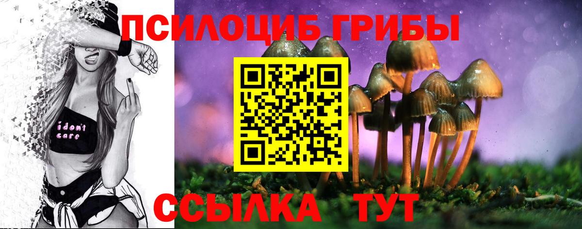 Псилоцибиновые грибы прущие грибы Озёры